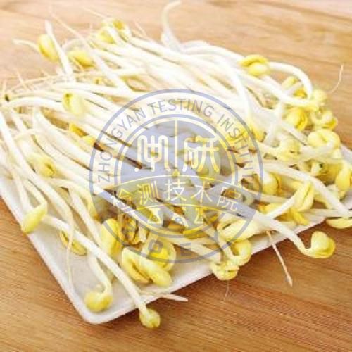 黄豆芽检测
