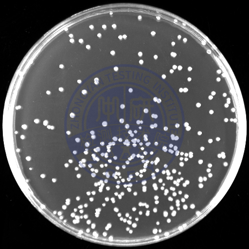 药品微生物检验