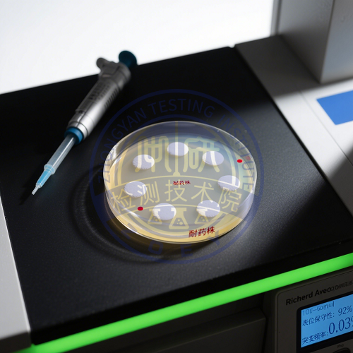 变异链球菌耐药克隆表位保守性测试