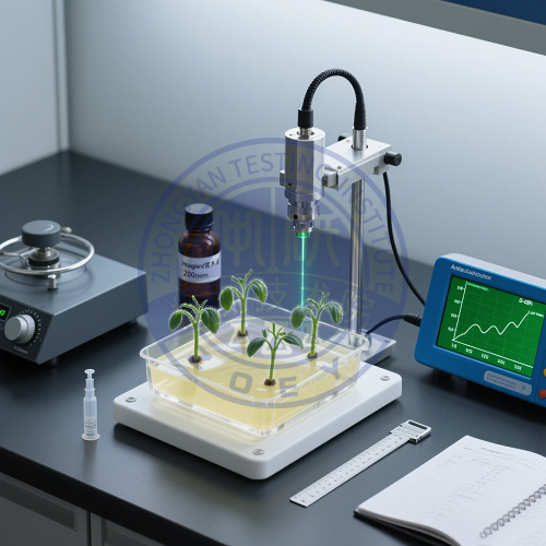 番茄胚轴伸长速率测定